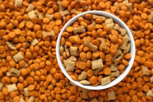 Thức ăn cho thú cưng