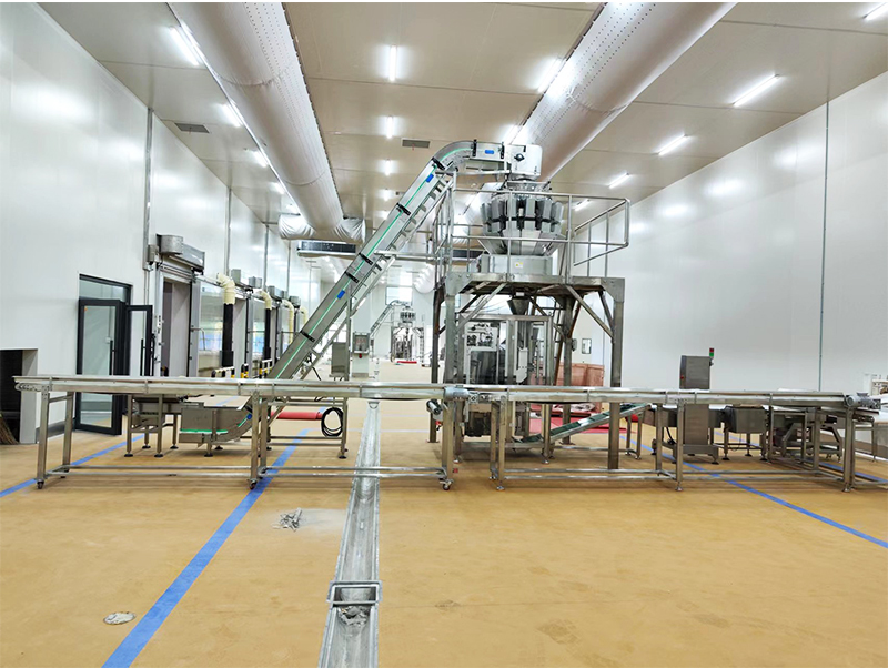 máy đóng gói thực phẩm forzen tự động